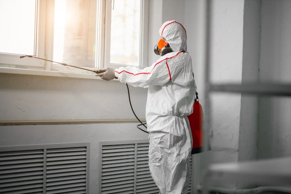 Professional mold remediation services in Frankford, DE